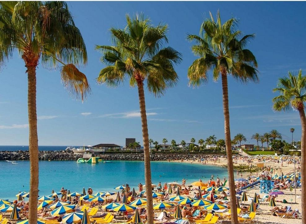 Aeropuerto Gran Canaria Apartamento Vacacional Carrizal エクステリア 写真